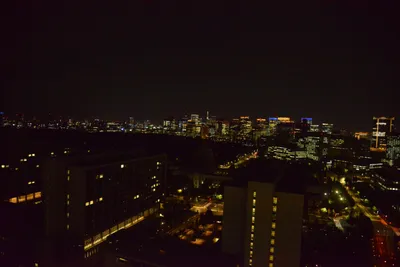 DSC_3600 (Large).JPG